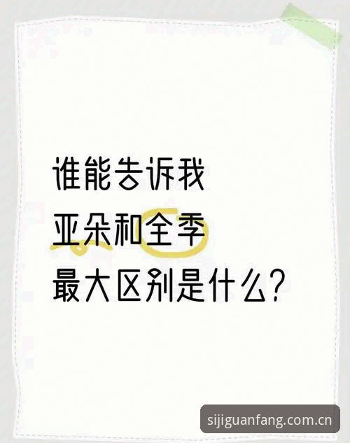 四季官方App下载哪个好 四季官方App下载选择对比:正版VS替代软件,哪个更适合你?