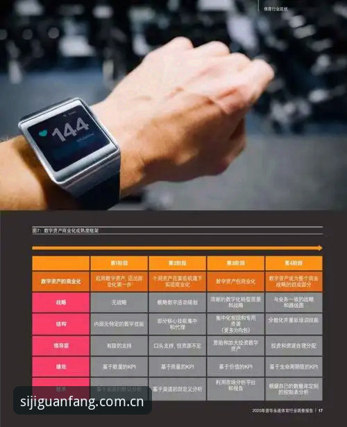 四季体育安装使用教程完整指南：选择最适合你的版本